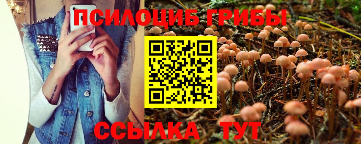 Галлюциногенные грибы мицелий Боровичи
